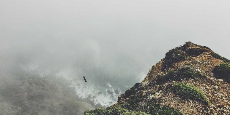 从成本黑洞到绿色资产:国际物流包装的循环革命与降本增效实战