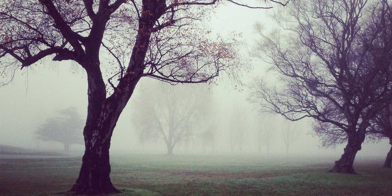 区块链重塑国际物流:报关清关、货运代理与空运代理的透明革命