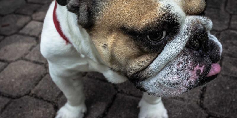 国际物流运输保险全解析：空运代理与海运代理必知的险种与理赔指南