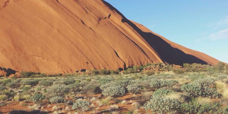 国际物流运输必读：货物保险全攻略，空运代理与报关清关中的风险规避实战